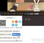 Word中插入网络视频教程