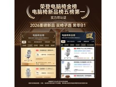 黑零B1 Pro云白人体工学椅