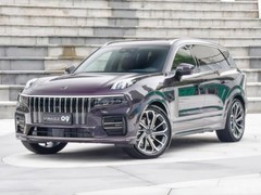 看重整车防护能力，高安全水准燃油 SUV 该怎么选？