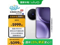 vivo X300 Pro卫星通信版5G手机