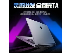 机械革命极光X潮玩版游戏本6756元