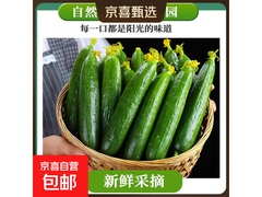 东东买菜山东水果黄瓜带箱2斤，满减后2.99元！