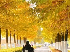 二手电动车价格暴涨，新国标限速引争议