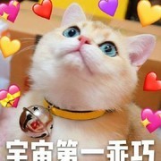 破天世界：争夺天尊之位