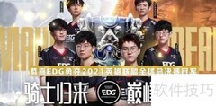 EDG冠军皮肤英雄揭秘