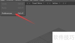 Wrap4D 2020.08.1设置远剪裁平面