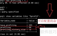 性能分析与索引CURD优化