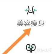 中药美容瘦身查询指南