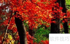 蛟河拉法山游玩攻略