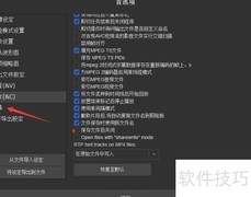 SolveigMM字幕位置设置技巧