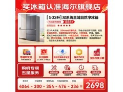海尔Leader悦己懒人冰箱503L