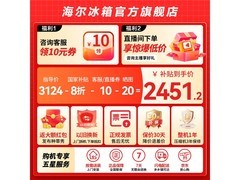 Leader懒人510系列502L十字冰箱