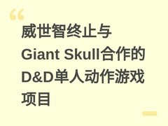 威世智终止与Giant Skull合作的D&D单人动作游戏项目