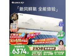 格力若华金1.5匹空调直降2200