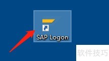 SAP销售组织与分销渠道分配