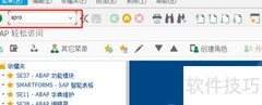 SAP销售组织与分销渠道分配