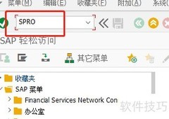 SAP公用分销渠道定义解析