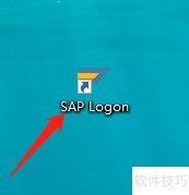 SAP公用分销渠道定义解析