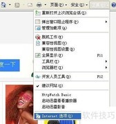 禁止网页恶意代码自动运行