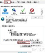 禁止网页恶意代码自动运行