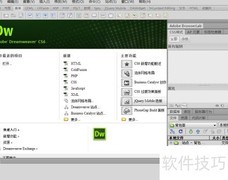 网页炸弹：恶意代码攻击揭秘
