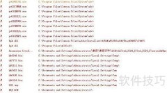 恶意代码与病毒解析