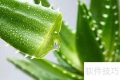水果美肤五大功效揭秘