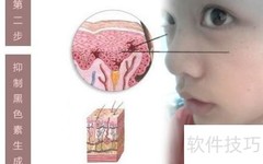 立体美肤步骤全解析