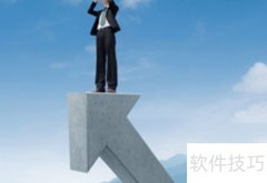 企业风险控制实施策略
