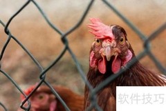 产业兴旺实现路径