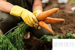产业兴旺实现路径