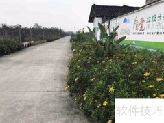 农村人居环境整治妙招