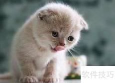幼猫粮与成猫粮有何不同