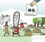 进口与国产板材差异解析