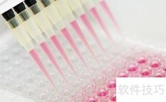 Elisa类型及原理详解