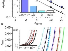 天津大学团队揭示突触协同处理时空信息新机制