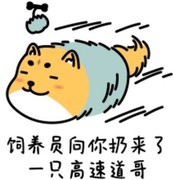 梦幻新诛仙布阵变阵全解析
