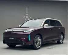 40万级大空间新能源SUV排行榜：谁在用六年磨一台车