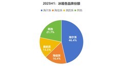 2025年H1:海尔冰箱TOP1无悬念，增长最多的又是谁?