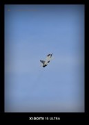 2亿像素裁切出的400mm够强吗？小米15 Ultra航展摄影体验分享