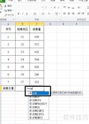 Excel2010计算销售总量方法
