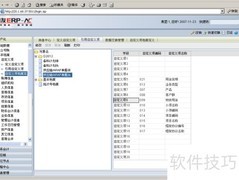 用友NC自定义项设科目影响