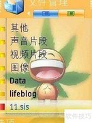 诺基亚N73主题安装删除图解