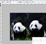 Photoshop CS3图片补光技巧