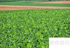 农资企业绿色转型策略
