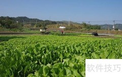 农资企业绿色转型策略