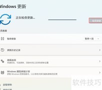 Win11系统更新方法指南