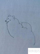 博美简笔画教程：轻松几步学会