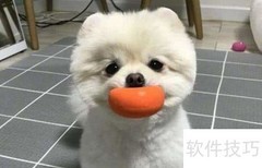 博美幼犬喂养全攻略