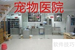 博美肠胃不适怎么办